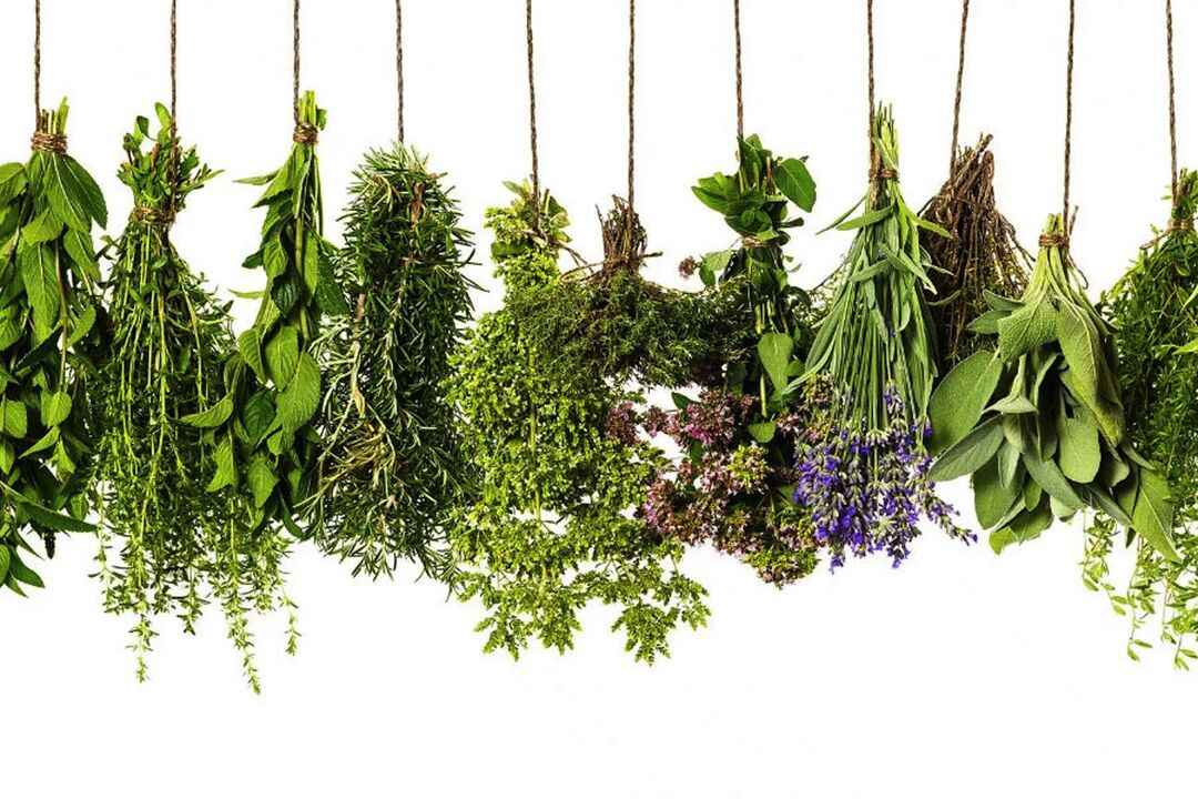 tropesch Kraiderextrakt an Eroboost